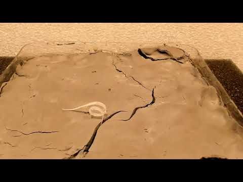 The first biodegradable seed robot, able to change shape in response to humidity