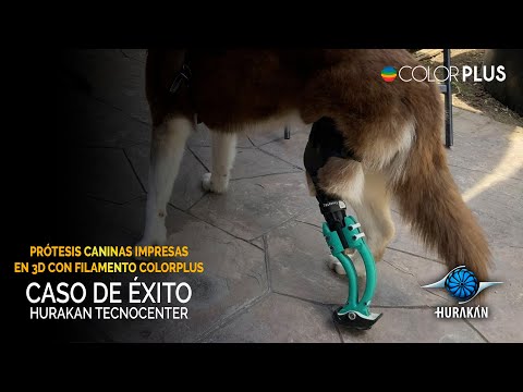 Prótesis caninas impresas en 3D | Impresión 3D