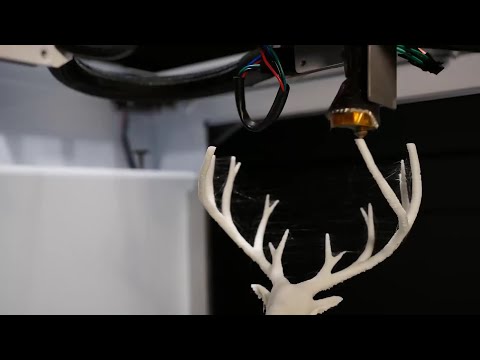 Type A Machines - 3d printing timelapse of Christmas deer model