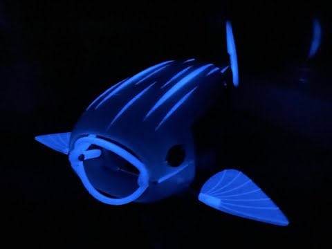The Natural Robotics Contest 2022 Winner: 'Gillbert'