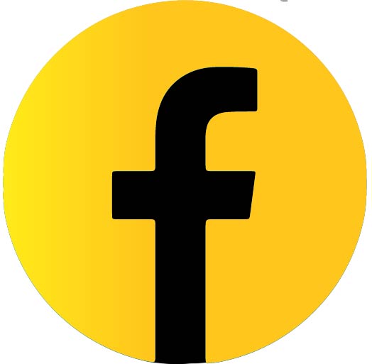 icono-facebook-colorplus