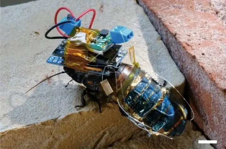 impresa en 3d